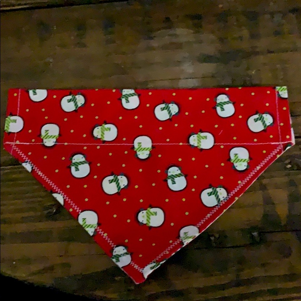 Small over collar dog bandana